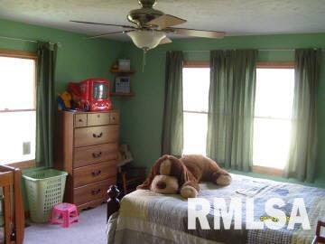 4959 Basom Road Salem, IL 62881 - Photo 9 of 16