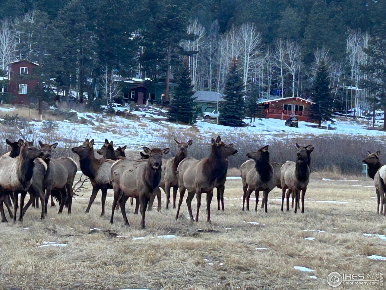177 Cedar Drive Lyons, CO 80540 - Photo 29 of 39