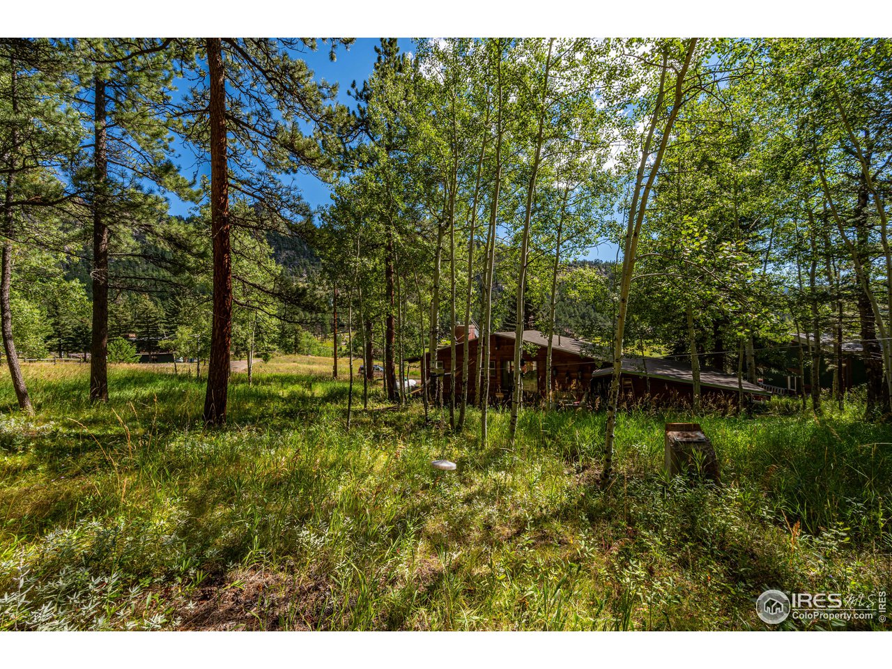177 Cedar Drive Lyons, CO 80540 - Photo 31 of 39
