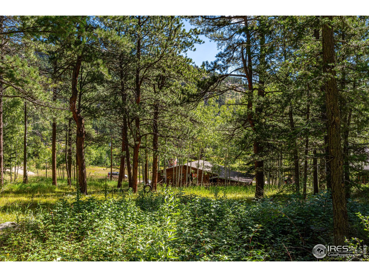 177 Cedar Drive Lyons, CO 80540 - Photo 32 of 39