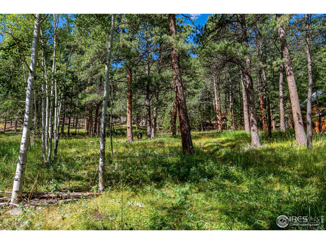 177 Cedar Drive Lyons, CO 80540 - Photo 34 of 39