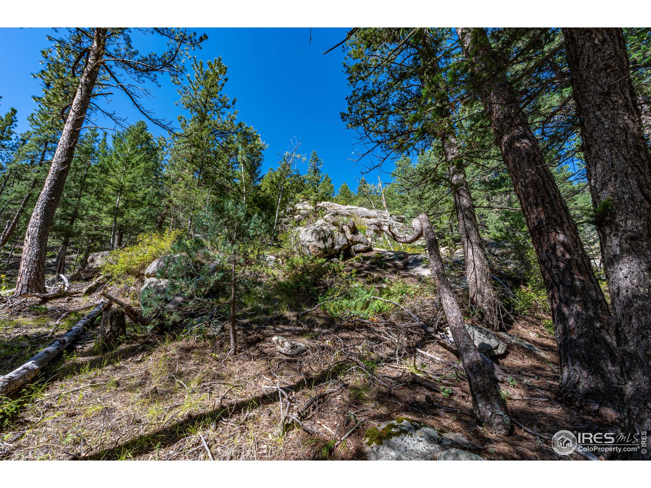 177 Cedar Drive Lyons, CO 80540 - Photo 35 of 39