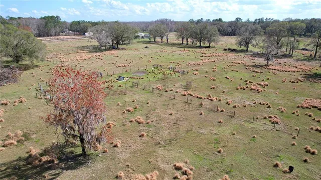 a view of a backyard with a garden