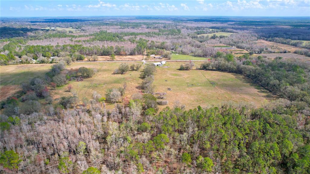 14890 County Road 757 Webster, FL 33597 - Photo 17 of 100