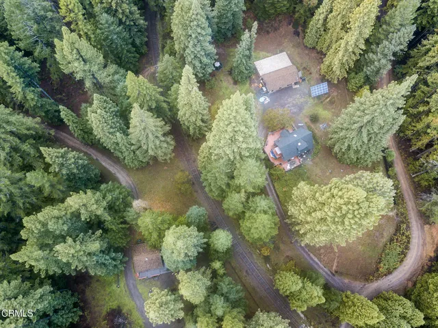 an aerial view of a house with a yard and large trees