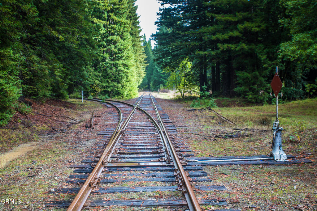 11091 Irmulco Road Willits, CA 95490 - Photo 13 of 42 a backyard of a house with lots of green space
