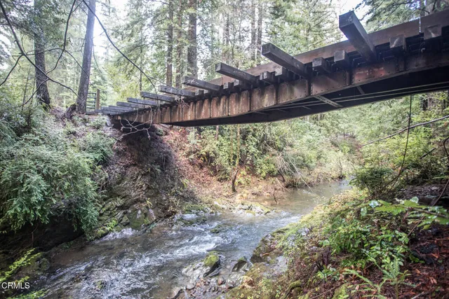 a view of a yard with trees
