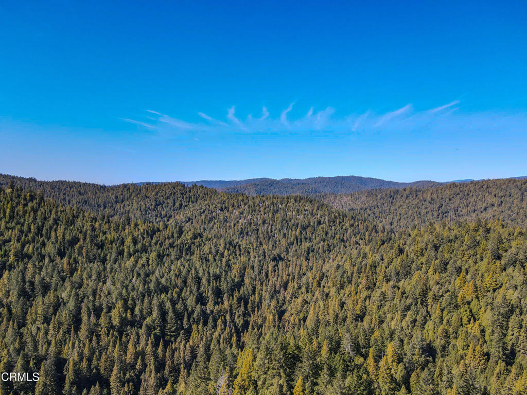 11091 Irmulco Road Willits, CA 95490 - Photo 2 of 42 dji_fly_20250226_130430_202_174060389256
