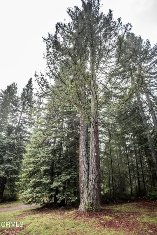 $2,300,000 | 11091 Irmulco Road, Willits, CA 95490