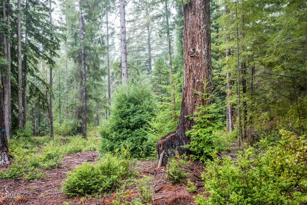 $2,300,000 | 11091 Irmulco Road, Willits, CA 95490