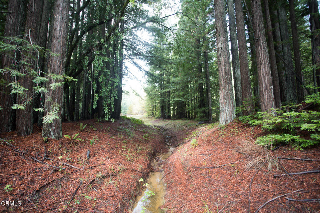 11091 Irmulco Road Willits, CA 95490 - Photo 38 of 42 IMG_1379