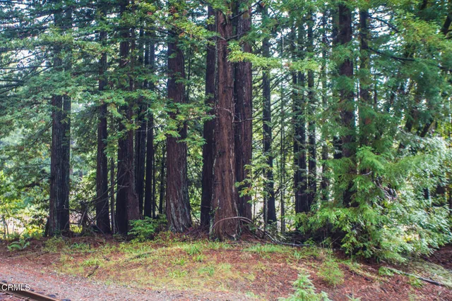 $2,300,000 | 11091 Irmulco Road, Willits, CA 95490