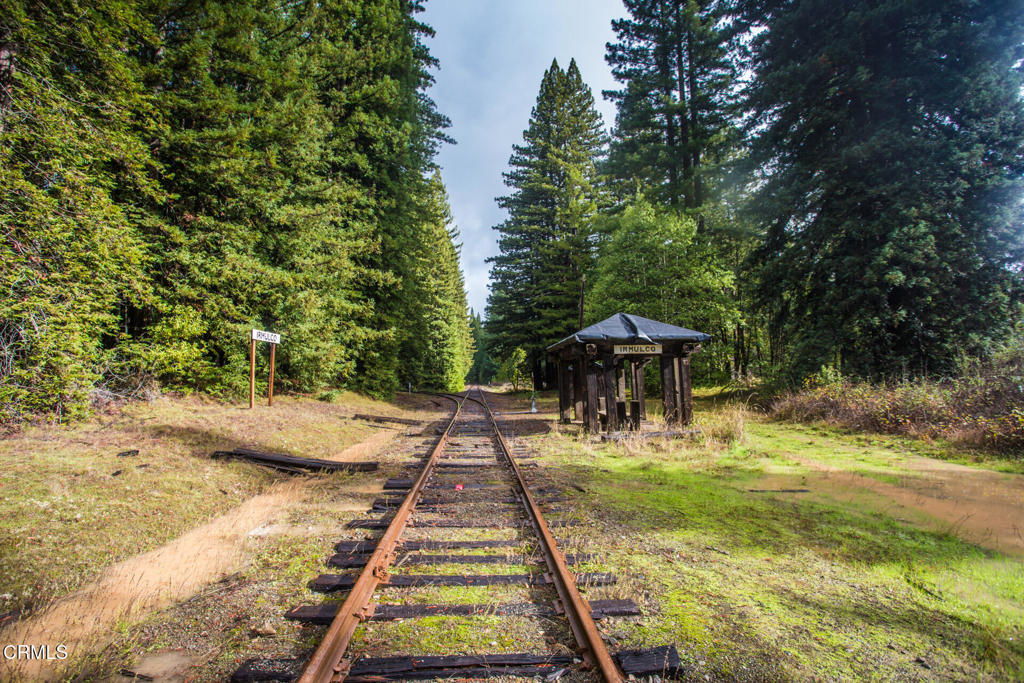 11091 Irmulco Road Willits, CA 95490 - Photo 40 of 42 a backyard of a house with yard and outdoor seating