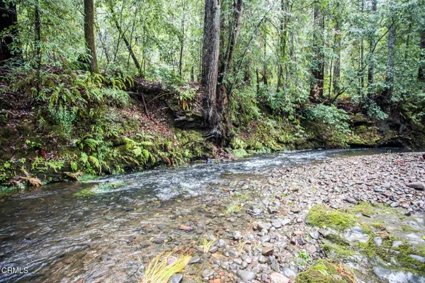 a view of a yard with wooden stairs and bench