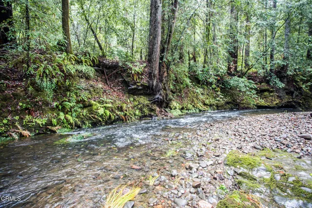 a view of a yard with wooden stairs and bench