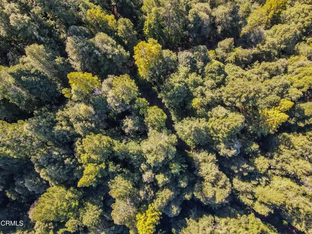 $2,300,000 | 11091 Irmulco Road, Willits, CA 95490