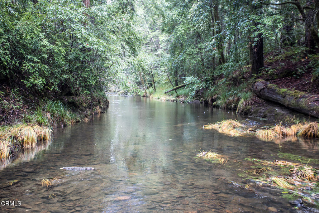 11091 Irmulco Road Willits, CA 95490 - Photo 5 of 42 a view of water with a large trees