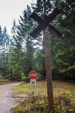 a view of a yard with large trees and a barn in it