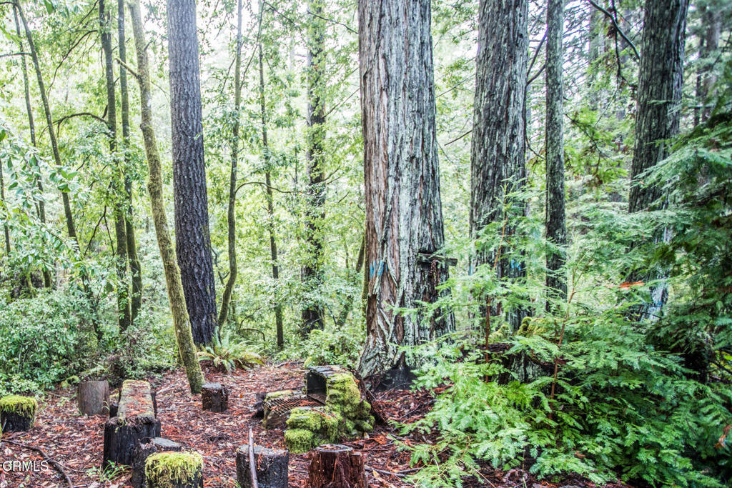 11091 Irmulco Road Willits, CA 95490 - Photo 9 of 42 IMG_1267