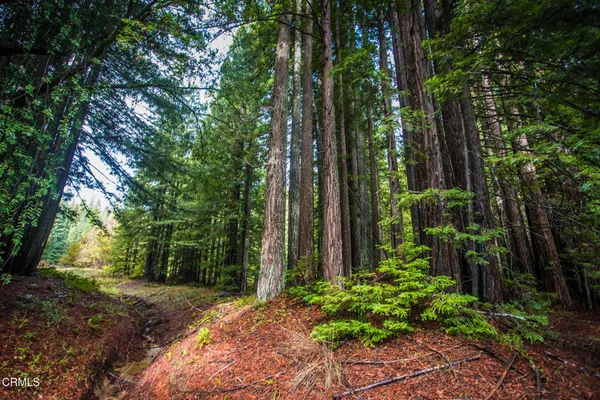 a view of a wooden deck and backyard