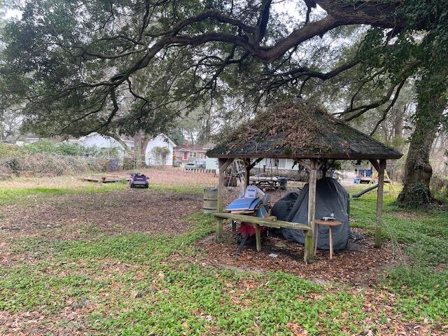 1632 Dogwood Road Charleston, SC 29414 - Photo 8 of 12 Back yard with grass hut IMG_5113 (1)