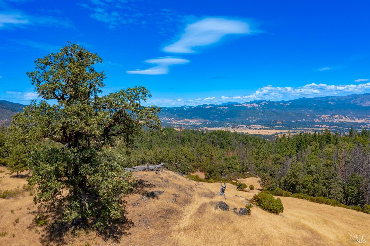 58380 Highway 162 Dos Rios, CA 95429 - Photo 53 of 62