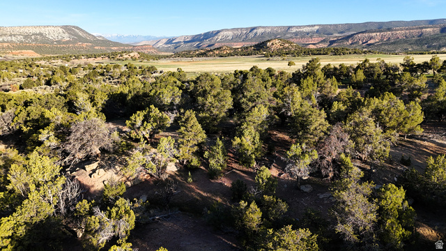 123 Tbd Forest Service Rd 640a (s Salina, UT 84654 - Photo 68 of 69 View of mountain backdrop