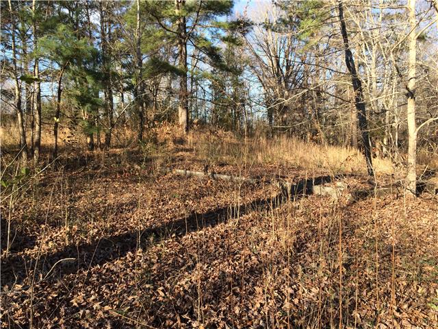 8112 Spot Light Road Lyles, TN 37098 - Photo 3 of 3