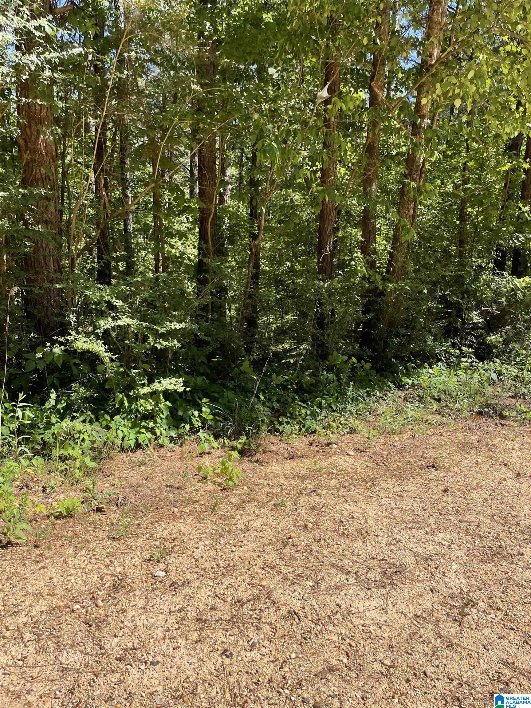 2 County Road 253, Unit 2 Clanton, AL 35046 - Photo 1 of 40