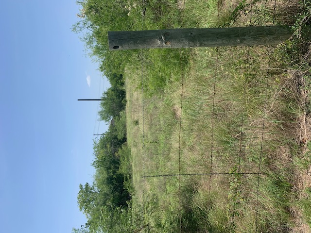 1501 North Burleson Street Kyle, TX 78640 - Photo 5 of 33 a view of a green field