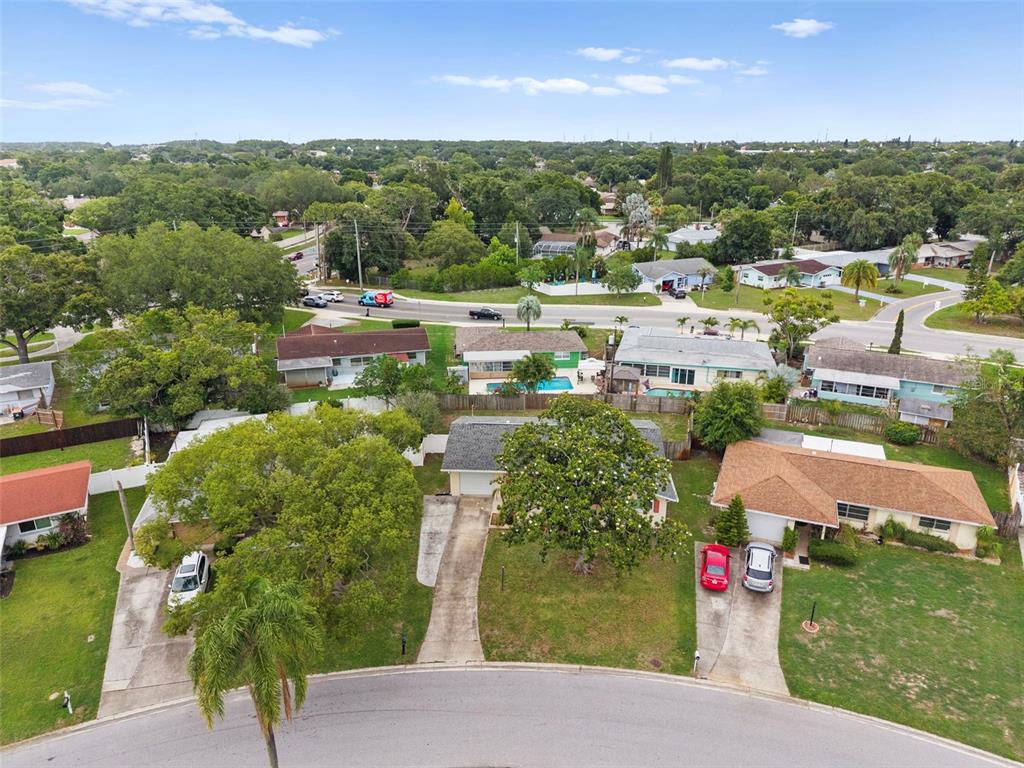 2169 Pine Ridge Drive Clearwater, FL 33763 - Photo 45 of 51