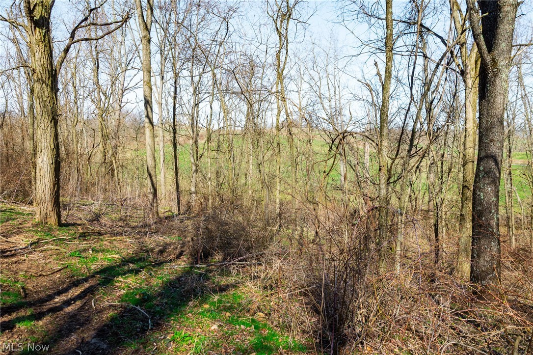 135 Township Road Adena, OH 43901 - Photo 19 of 47