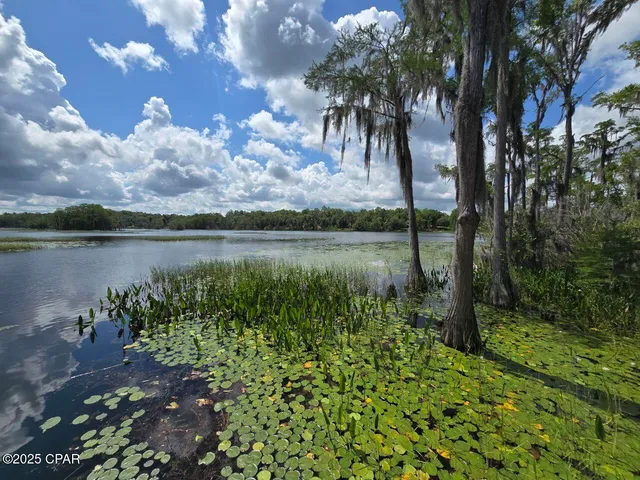 $11,800 | Lot 7 Caldwell Place, Chipley, FL 32428