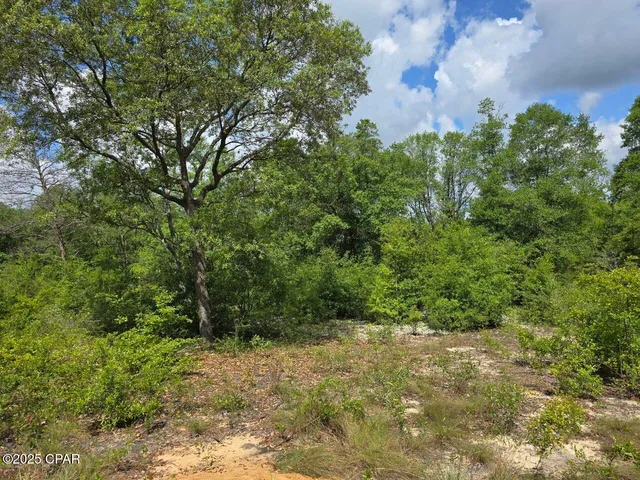 $11,800 | Lot 7 Caldwell Place, Chipley, FL 32428