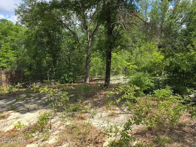 $11,800 | Lot 7 Caldwell Place, Chipley, FL 32428