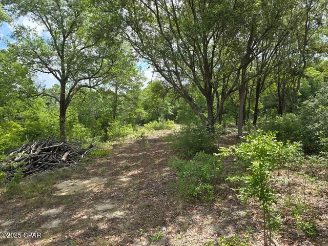 $11,800 | Lot 7 Caldwell Place, Chipley, FL 32428