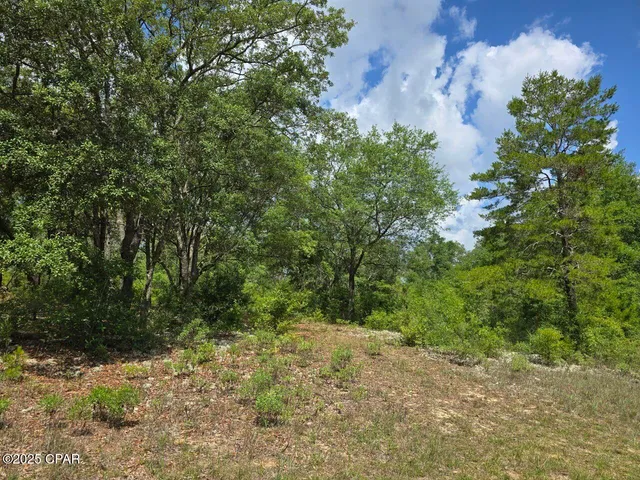 $11,800 | Lot 7 Caldwell Place, Chipley, FL 32428