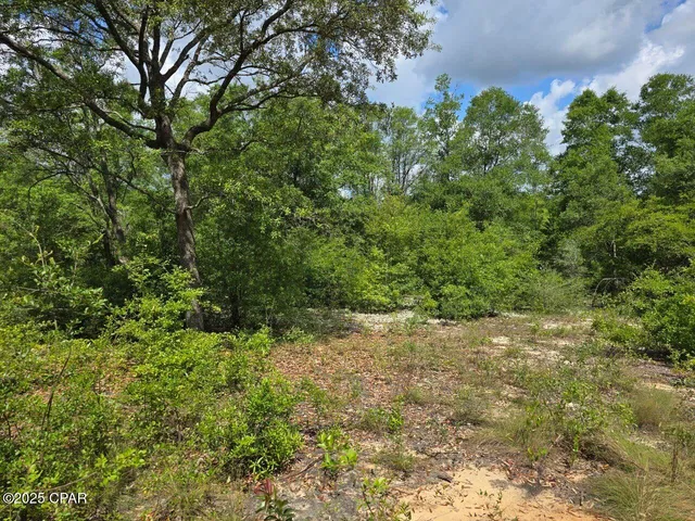 $11,800 | Lot 7 Caldwell Place, Chipley, FL 32428