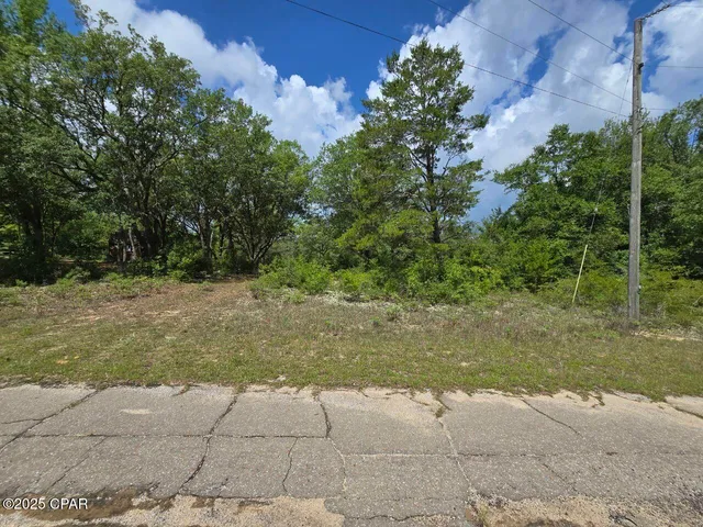 $11,800 | Lot 7 Caldwell Place, Chipley, FL 32428