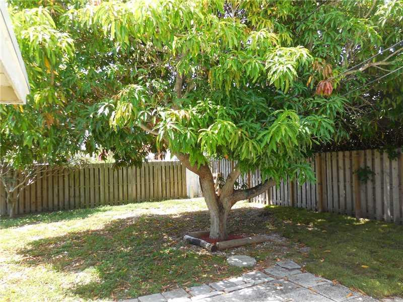 2630 Northeast 52nd Court Lighthouse Point, FL 33064 - Photo 13 of 17 Yard/Garden