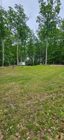 $30,000 | 10527 Wampum Trail, Evart, MI 49631
