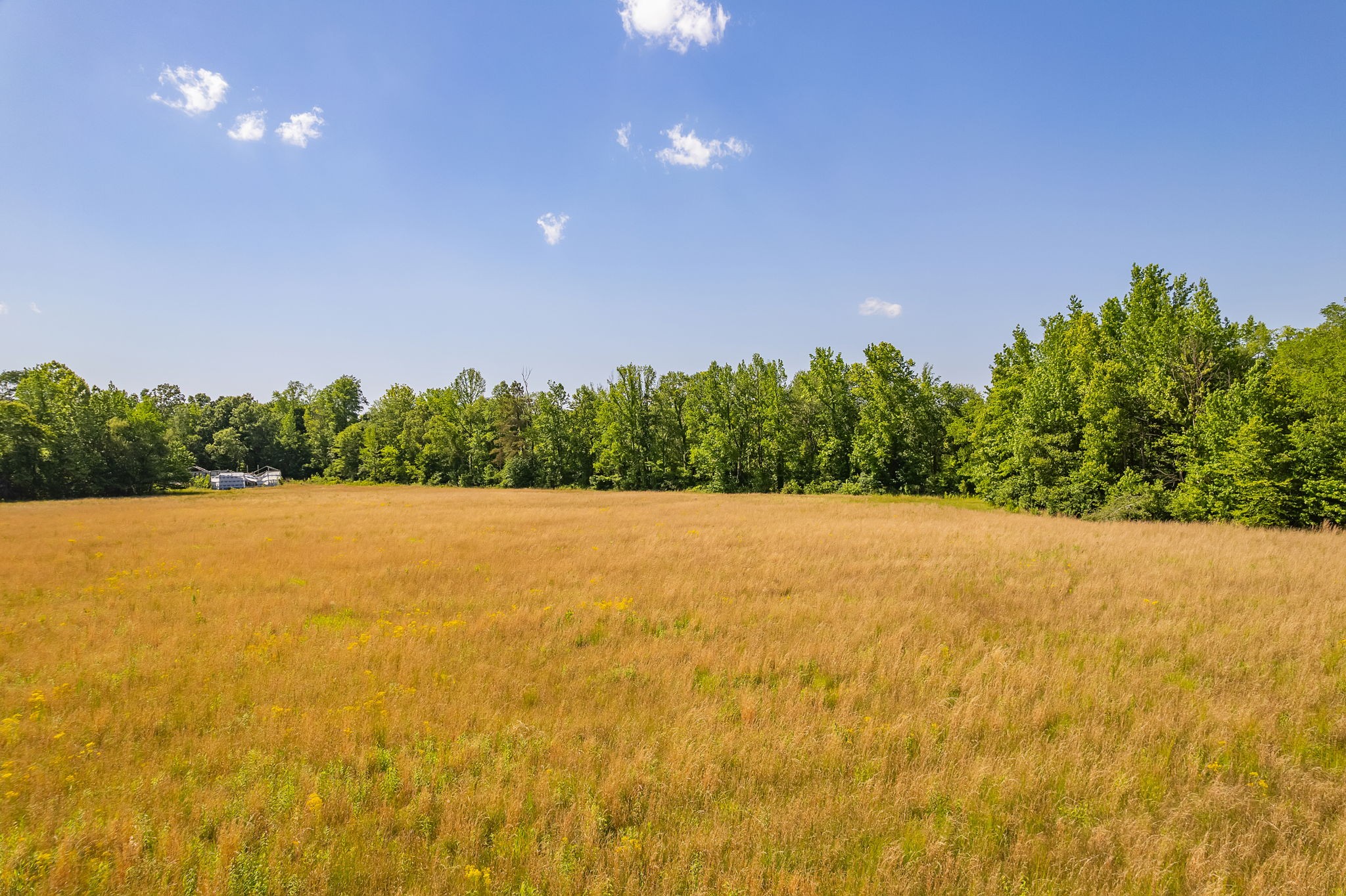 2800 Plainview Road Henderson, TN 38340 - Photo 8 of 25