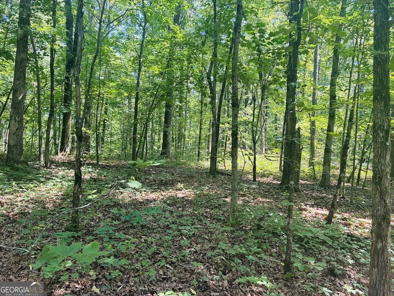 0 Forest Glen Road, Unit A Sylacauga, AL 35151 - Photo 22 of 34