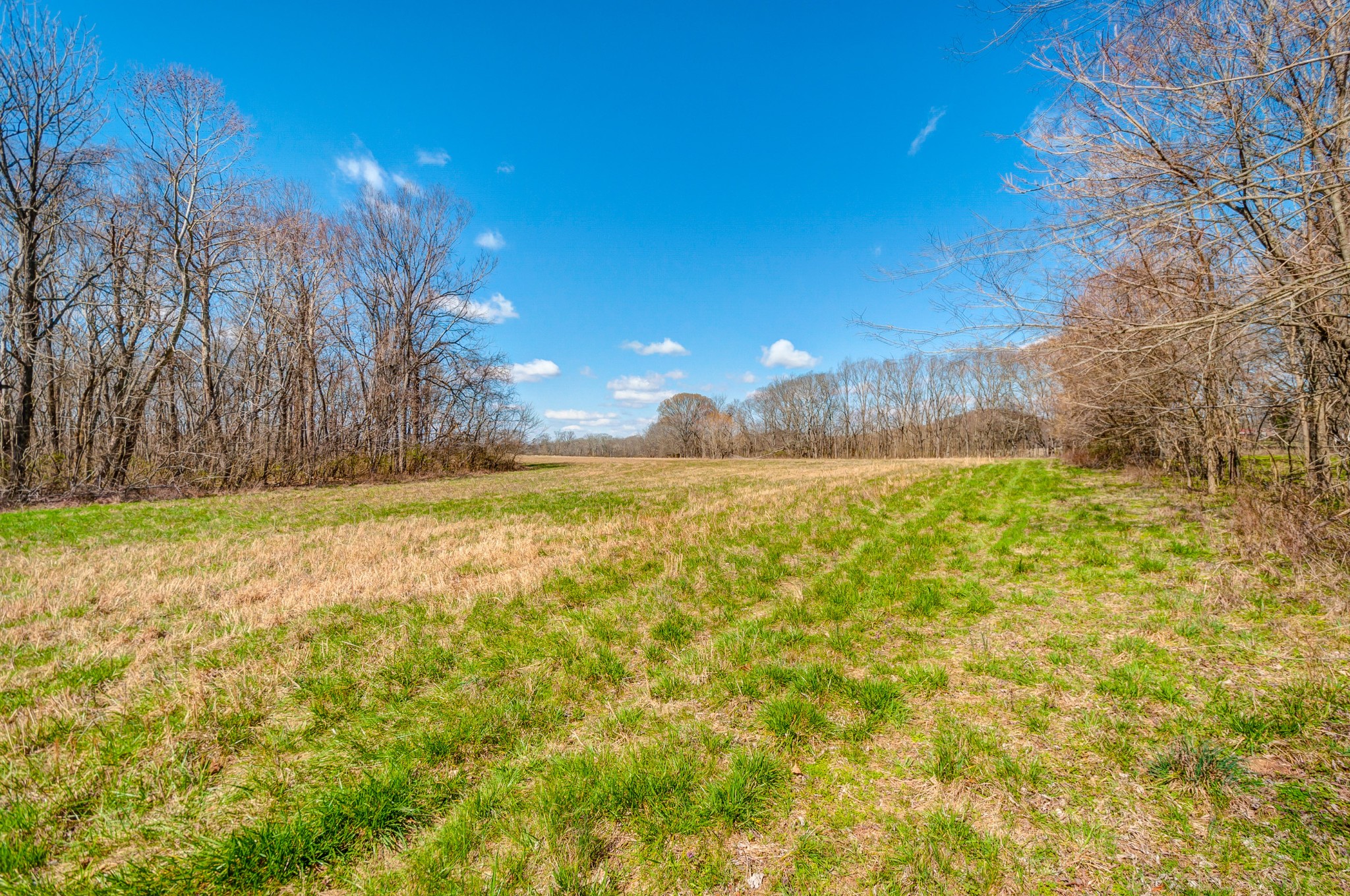 0 West Harpeth Road Franklin, TN 37064 - Photo 1 of 41 Gallery Image 1