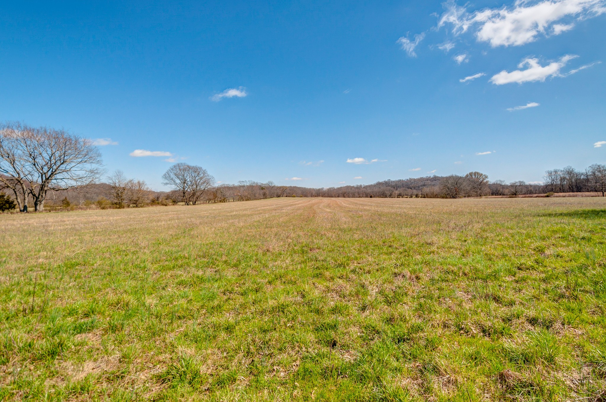0 West Harpeth Road Franklin, TN 37064 - Photo 14 of 41 Gallery Image 14