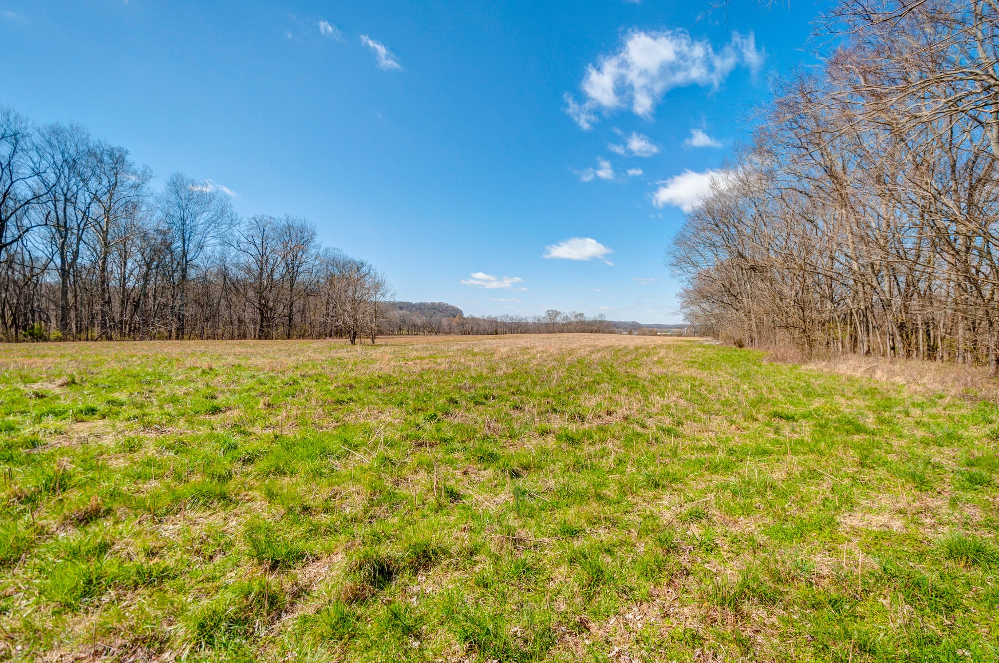 0 West Harpeth Road Franklin, TN 37064 - Photo 3 of 41 Gallery Image 3