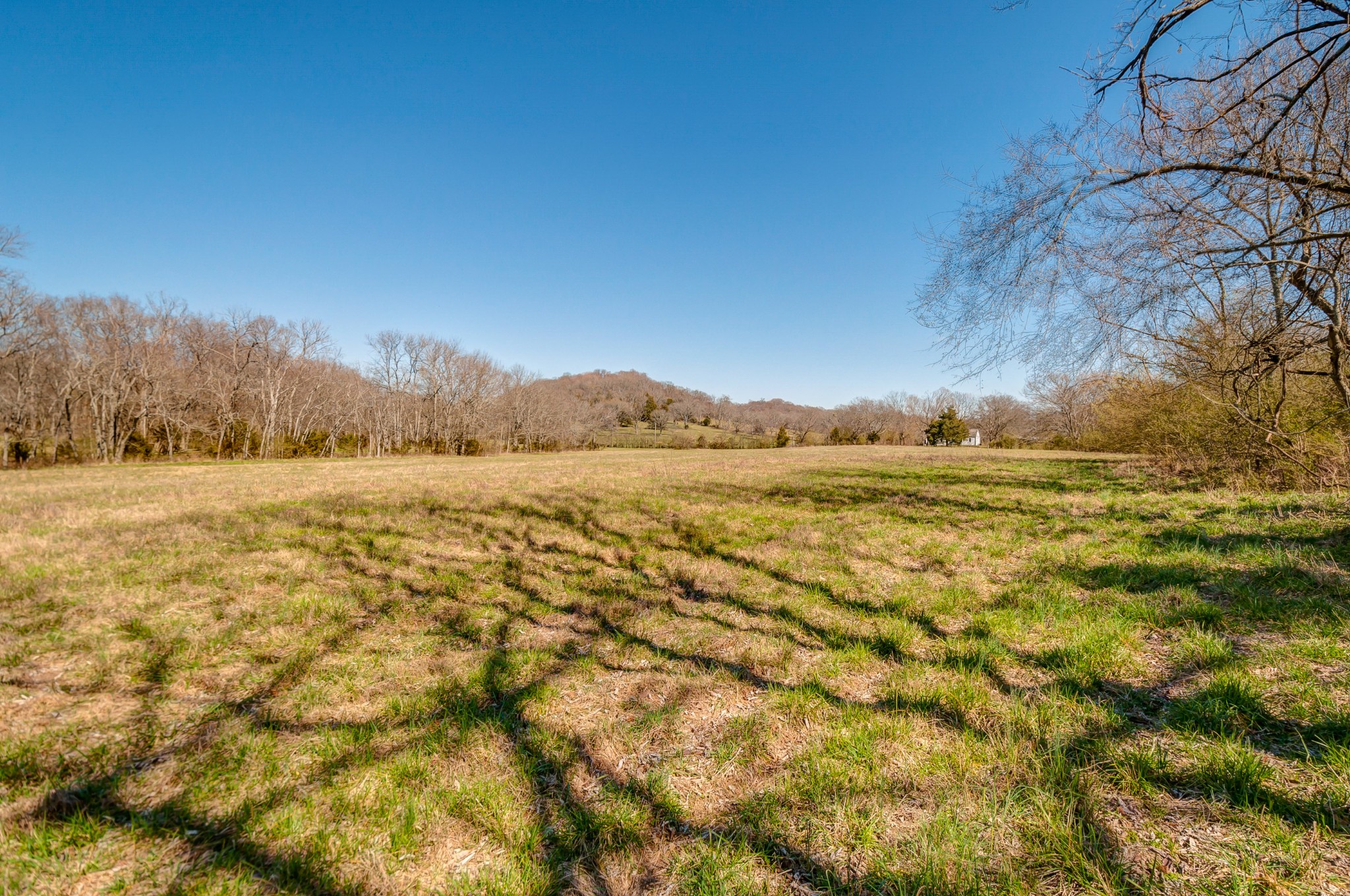 0 West Harpeth Road Franklin, TN 37064 - Photo 22 of 41 Gallery Image 22