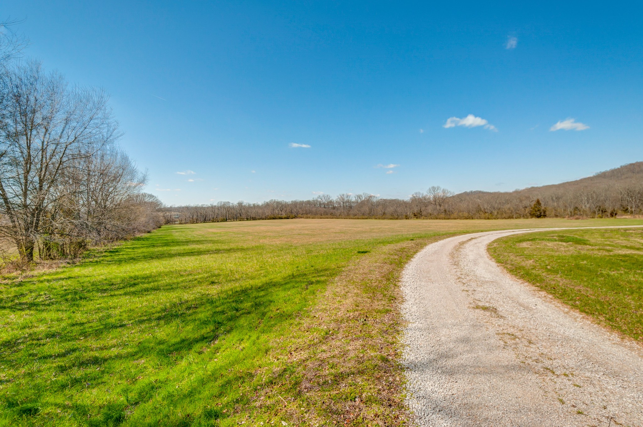 0 West Harpeth Road Franklin, TN 37064 - Photo 4 of 41 Gallery Image 4