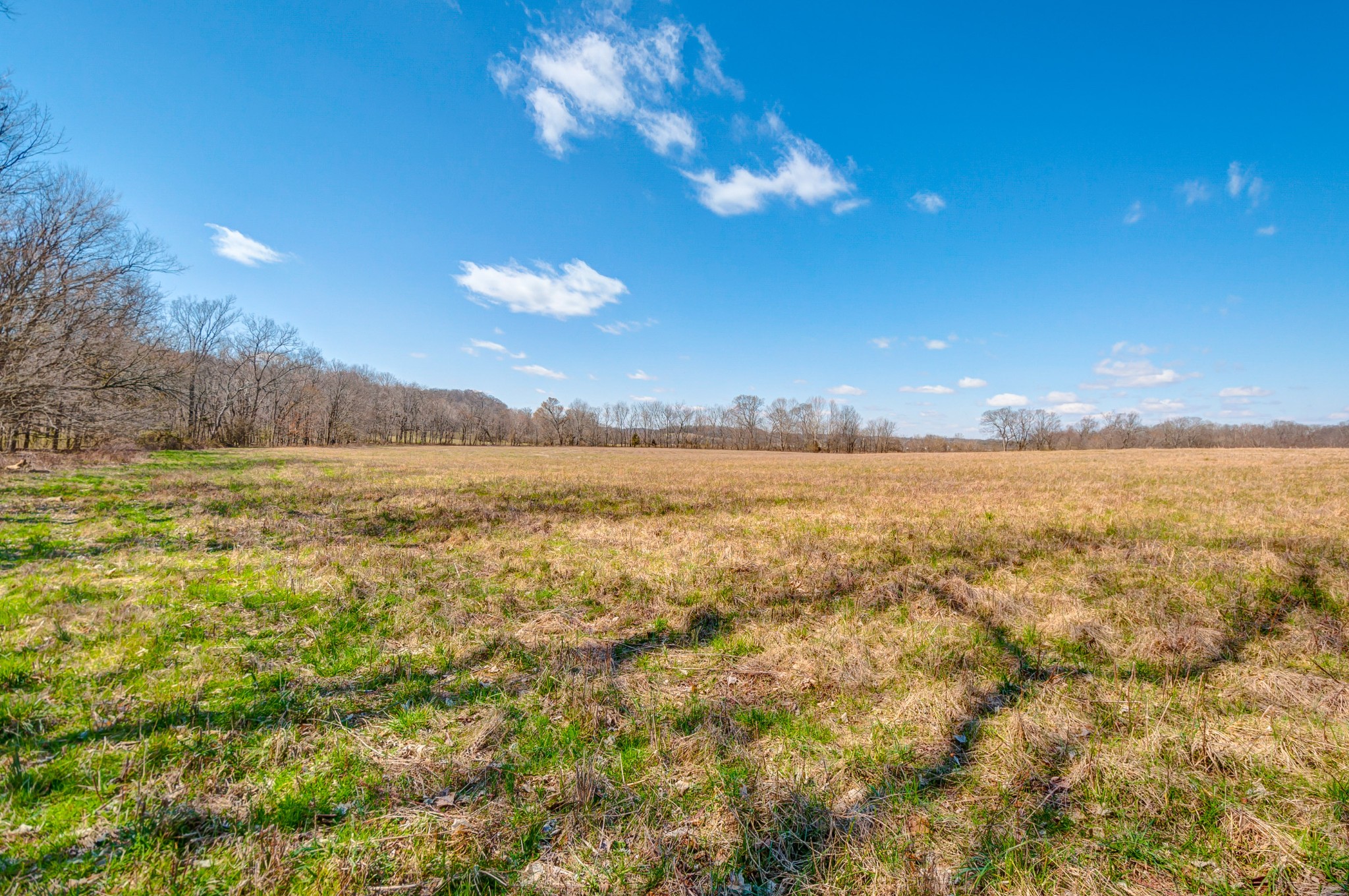 0 West Harpeth Road Franklin, TN 37064 - Photo 5 of 41 Gallery Image 5