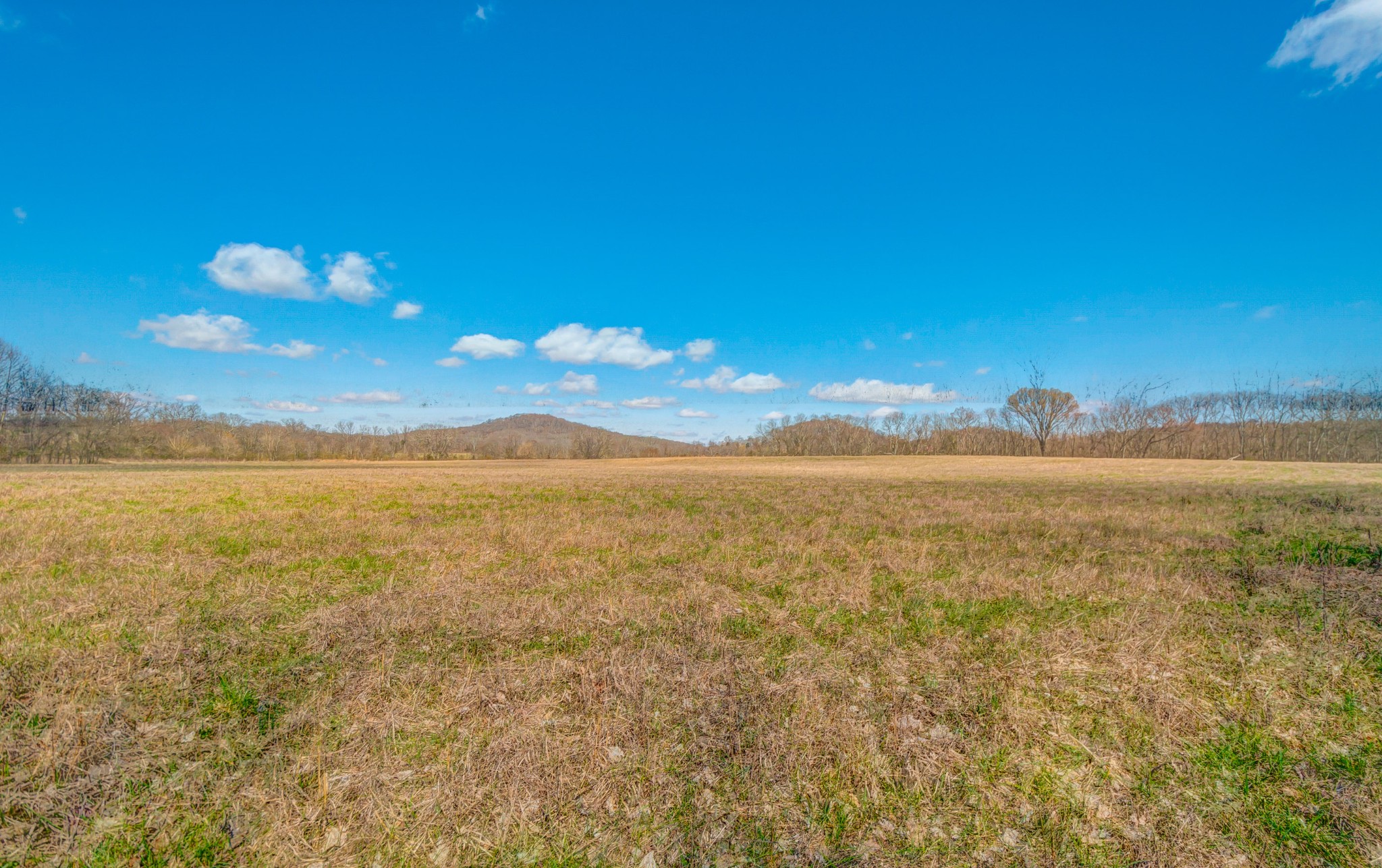 0 West Harpeth Road Franklin, TN 37064 - Photo 7 of 41 Gallery Image 7